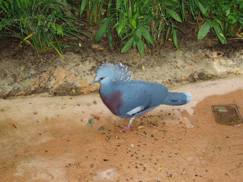 2005-Orlando 318