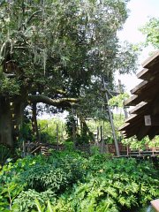 2005-Orlando 033