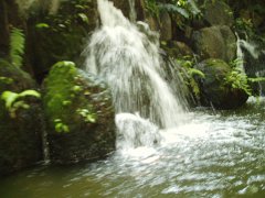 2005-Orlando 064