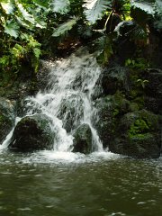 2005-Orlando 066
