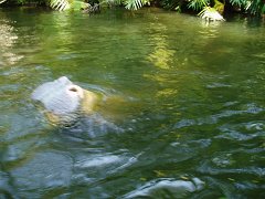 2005-Orlando 080