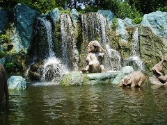 2005-Orlando 086
