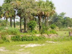 2005-Orlando 188
