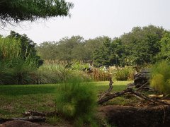 2005-Orlando 205