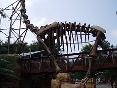 2005-Orlando 327