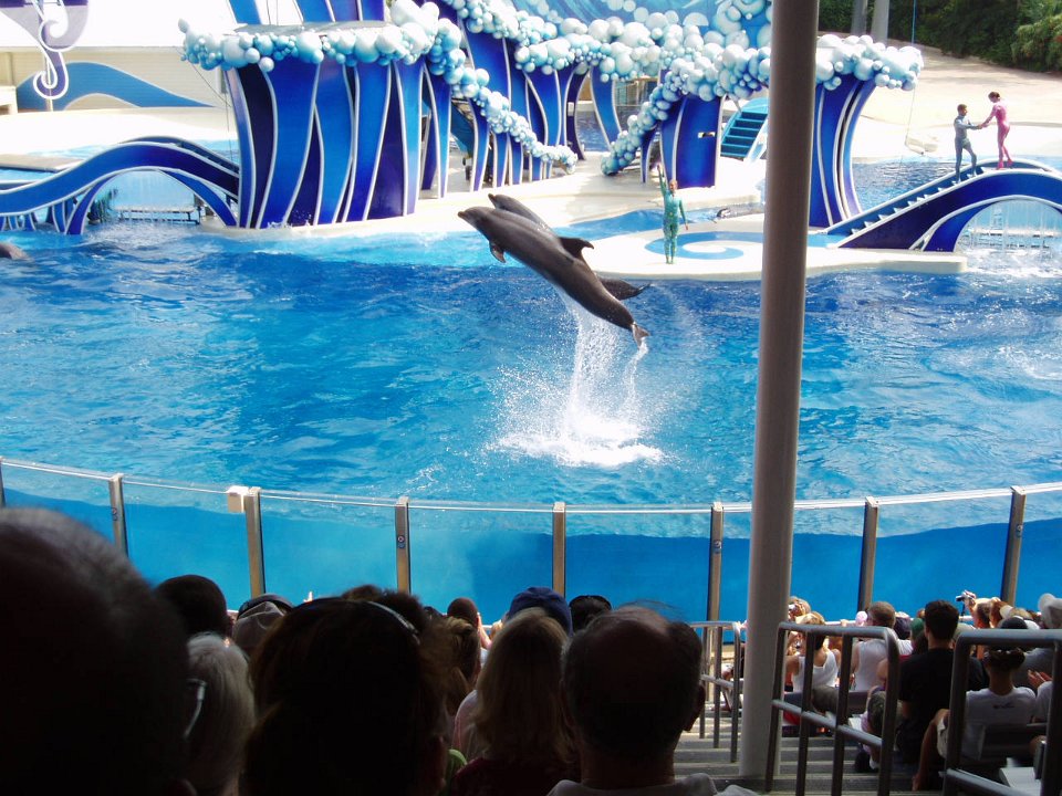 2005-Orlando 548