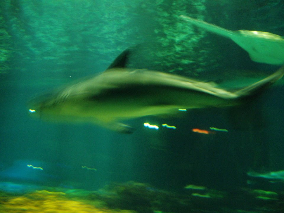 2005-Orlando 622