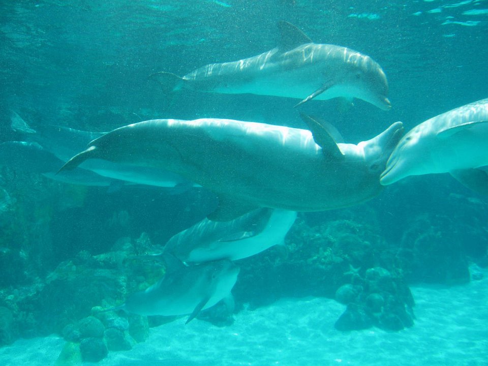 2005-Orlando 653