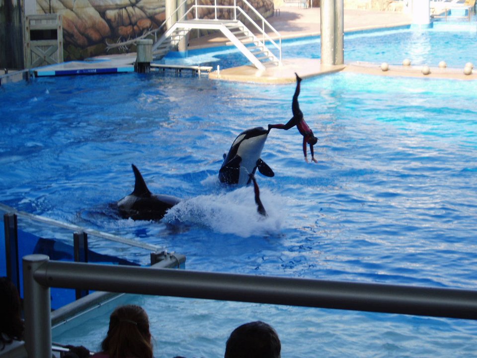 2005-Orlando 684