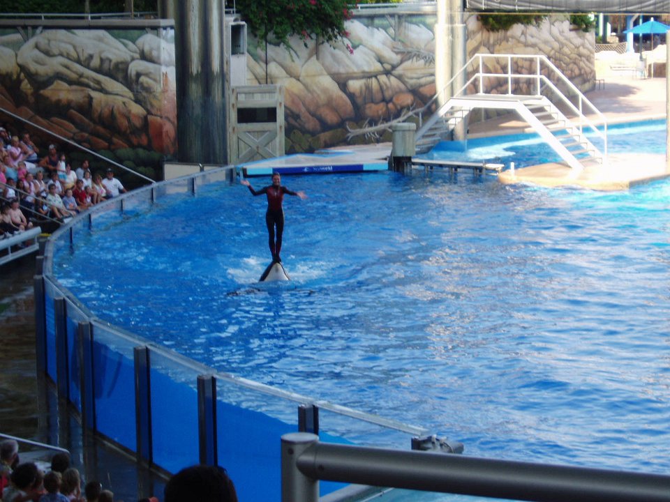 2005-Orlando 687