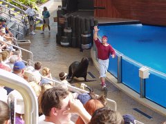2005-Orlando 503