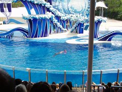 2005-Orlando 542