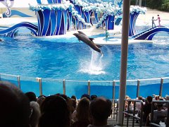 2005-Orlando 548