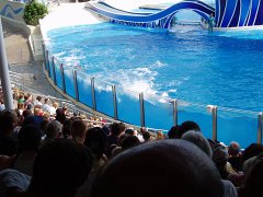 2005-Orlando 553
