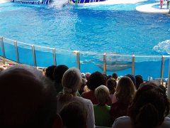 2005-Orlando 556