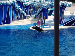 2005-Orlando 573