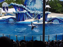 2005-Orlando 580