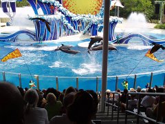 2005-Orlando 585
