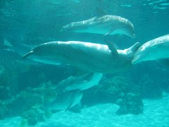 2005-Orlando 653
