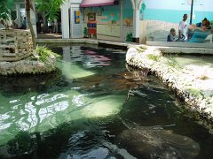 2005-Orlando 659