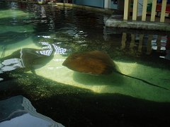 2005-Orlando 660