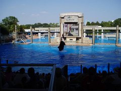 2005-Orlando 665