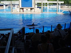 2005-Orlando 671