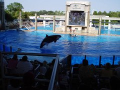 Sea World (2005)