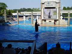 2005-Orlando 688
