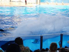 2005-Orlando 694