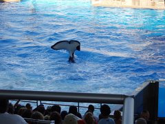 2005-Orlando 696