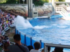 2005-Orlando 699