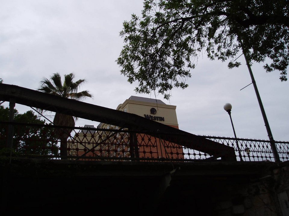 P5010161