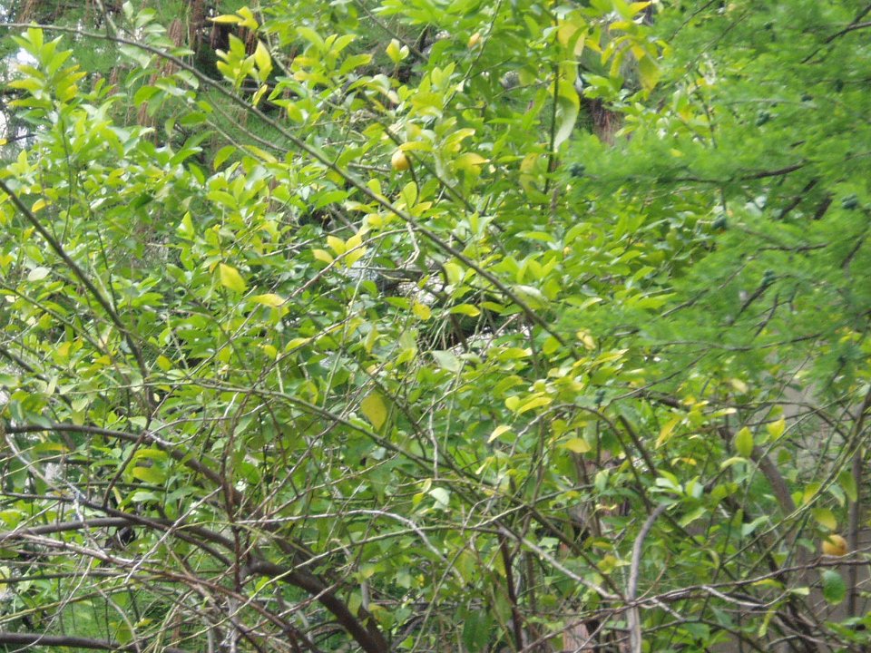 P5010180
