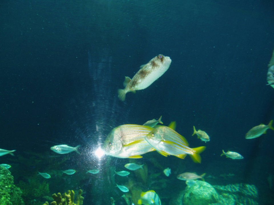 P5020236