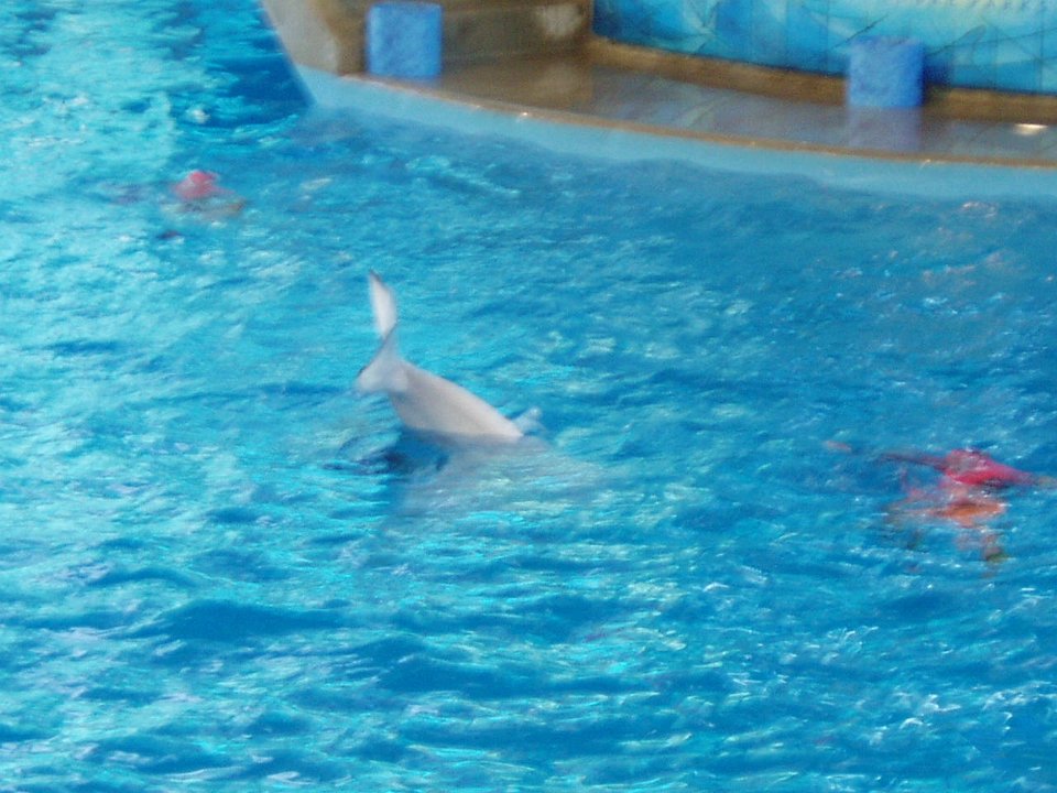 P5020305