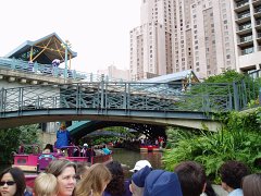 P5010190.jpg