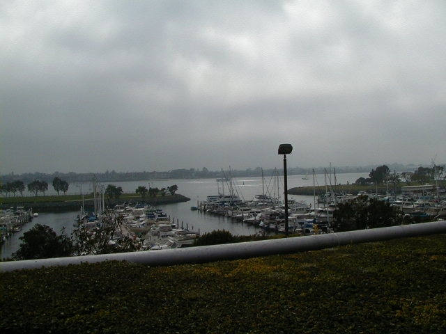 p1010006