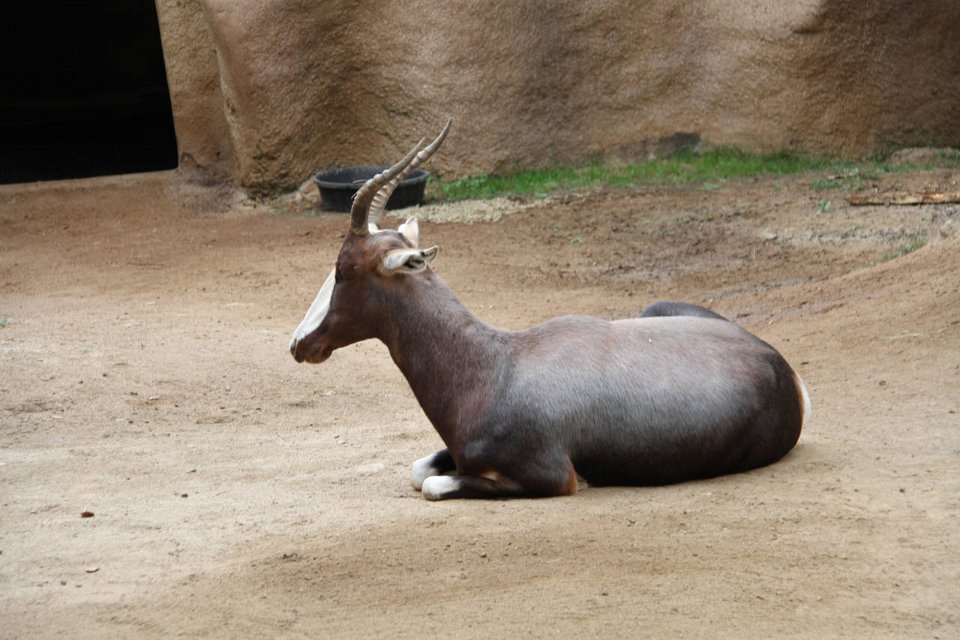 E7D 5711