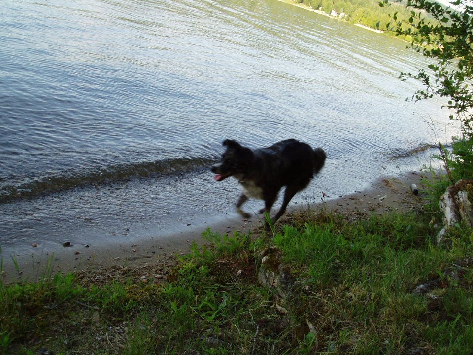 2005-SandPoint 019