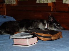 2005-SandPoint 037