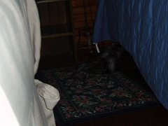 2005-SandPoint 041