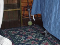 2005-SandPoint 042