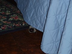 2005-SandPoint 045