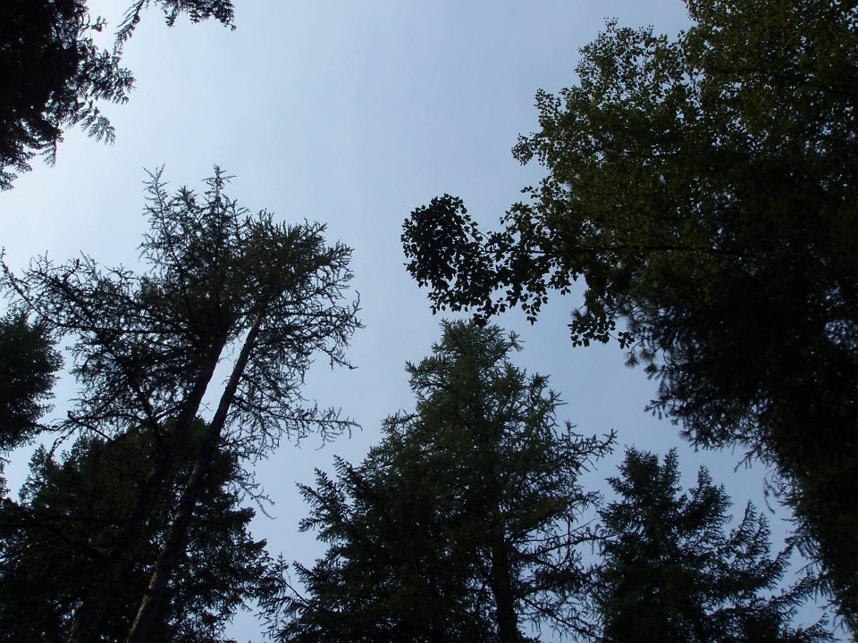 2006 Sandpoint 002