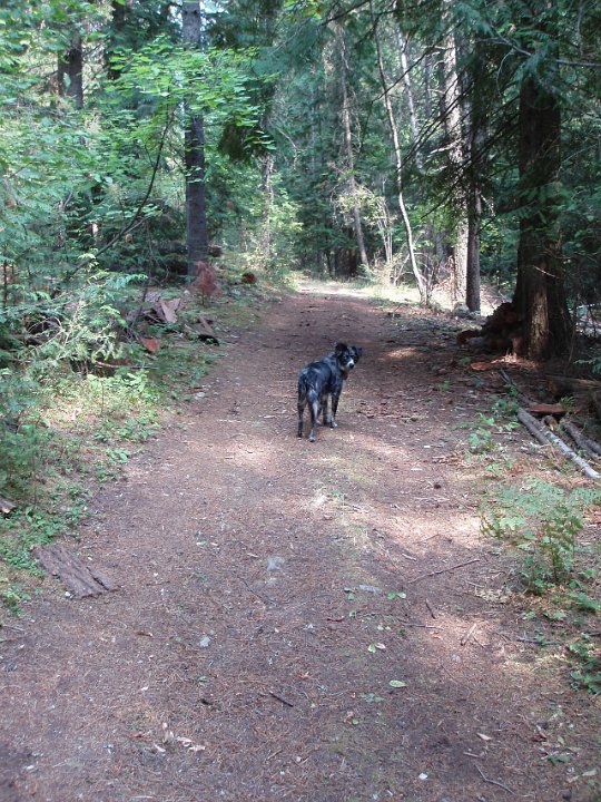 2006 Sandpoint 008