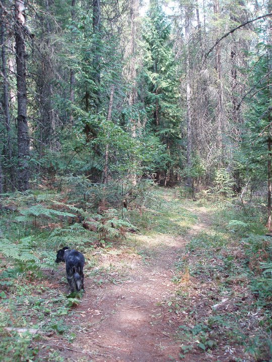 2006 Sandpoint 010