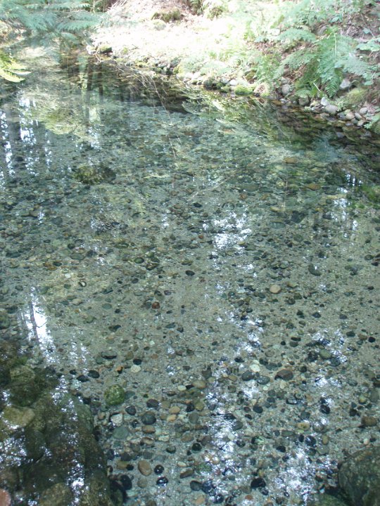 2006 Sandpoint 017