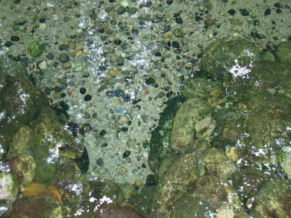 2006 Sandpoint 018