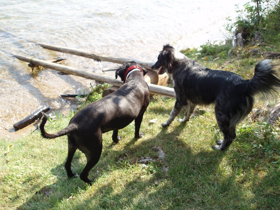 2006 Sandpoint 071